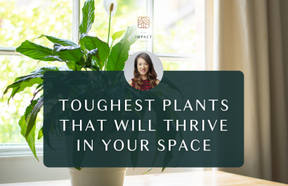 Toughest Plants That Will Thrive In Your Space